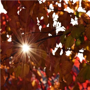 Daylight_Saving_Tile