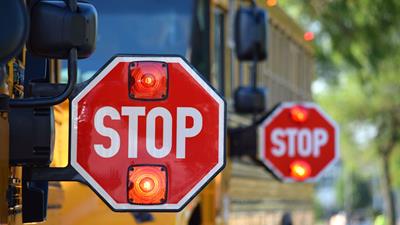 Bus_Information_Website