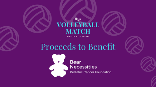 bear necessities volleyball