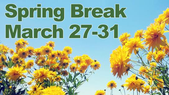 Spring_Break_Website