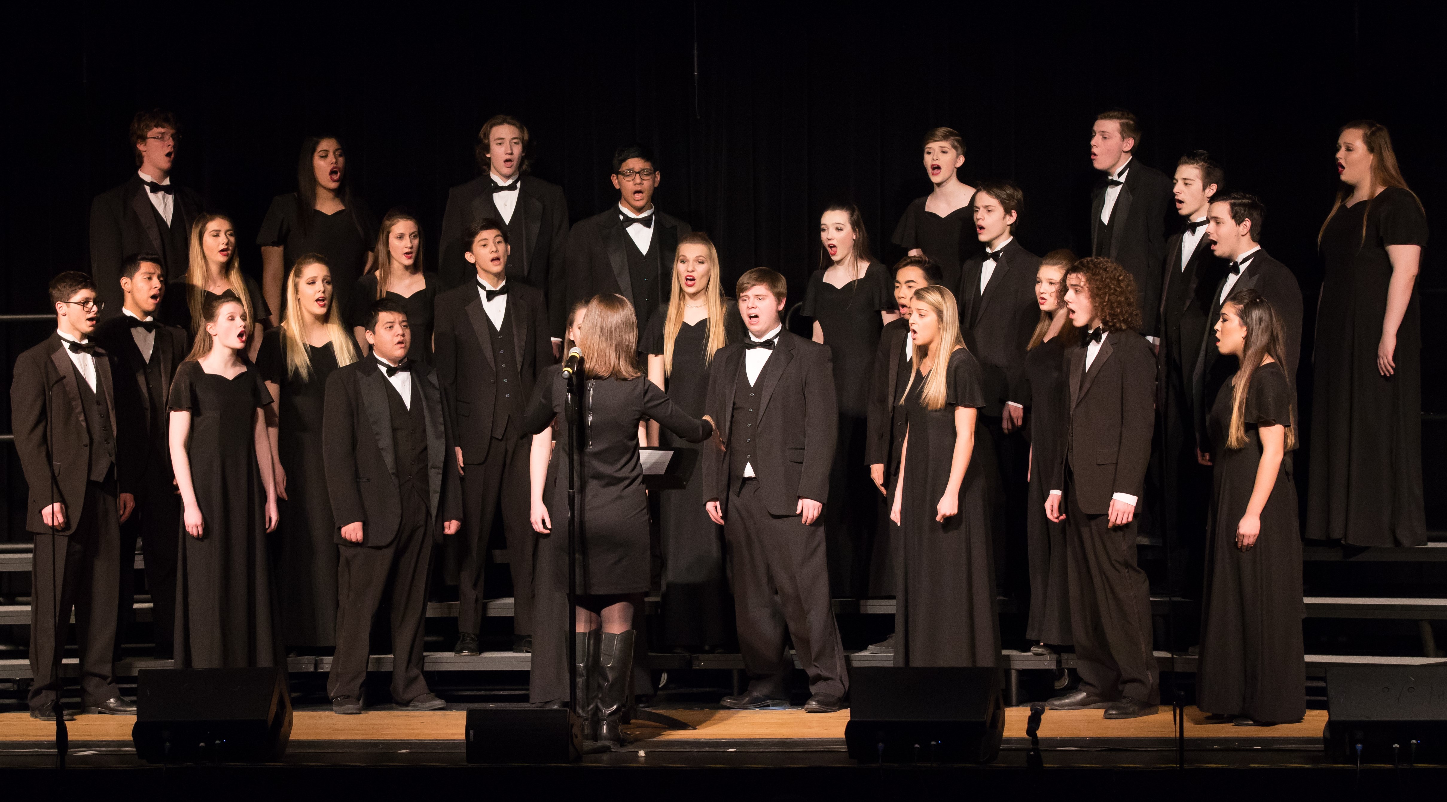 Photo of last year's concert choir singing