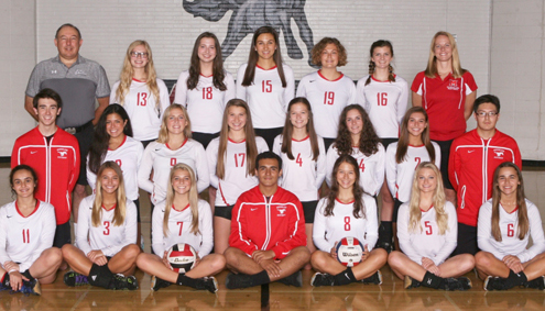 GirlsVBall17