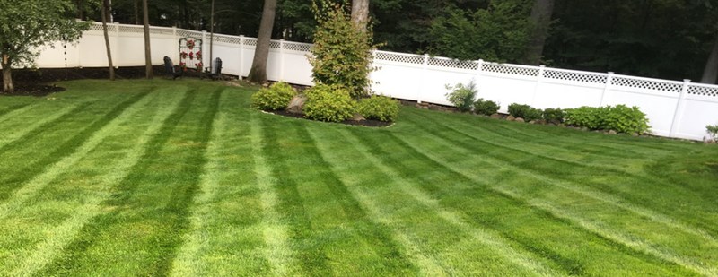 Photo of a lawn treatment