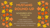Mustang_Roundup