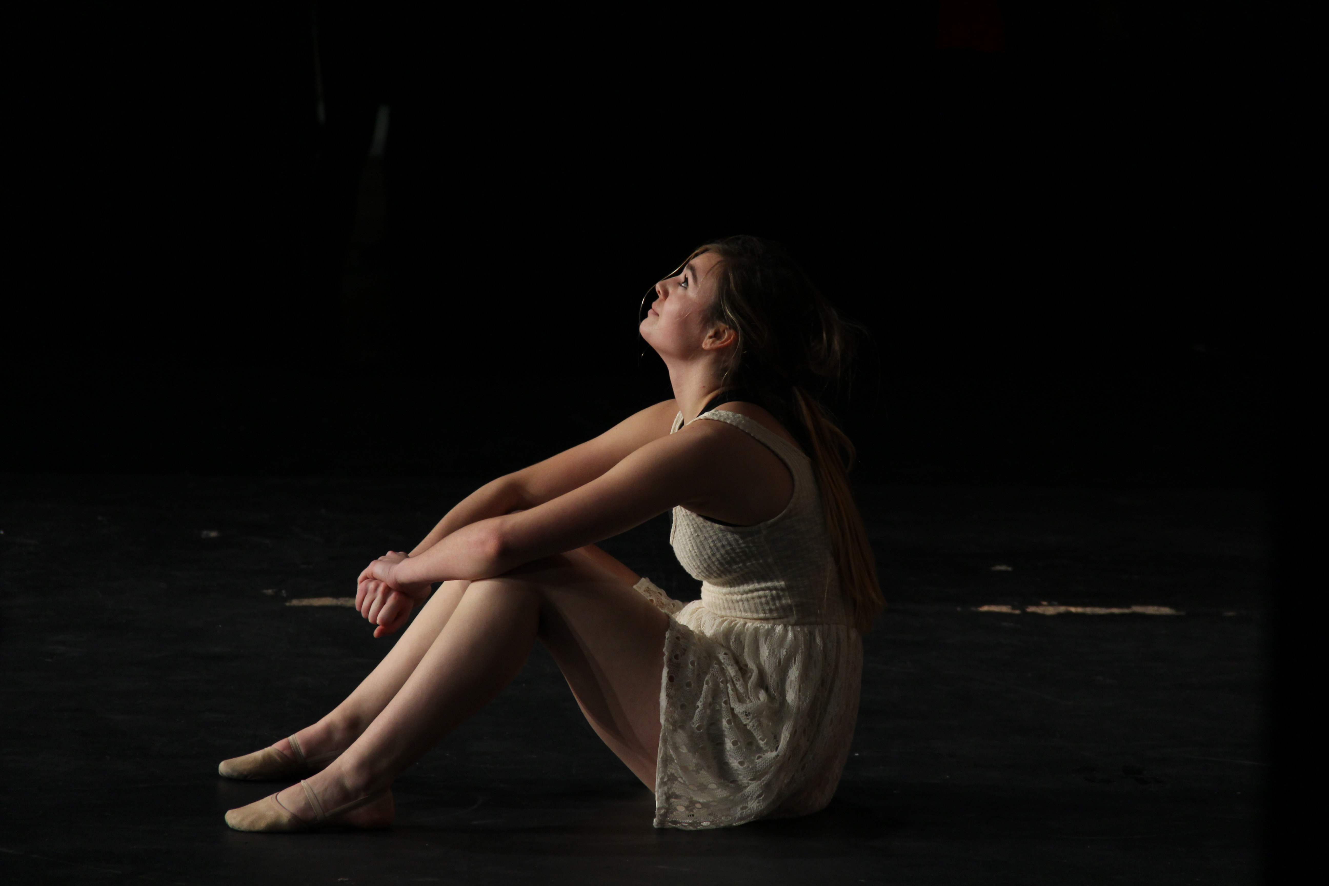 Orchesis