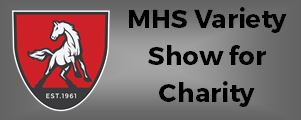 VShow_4