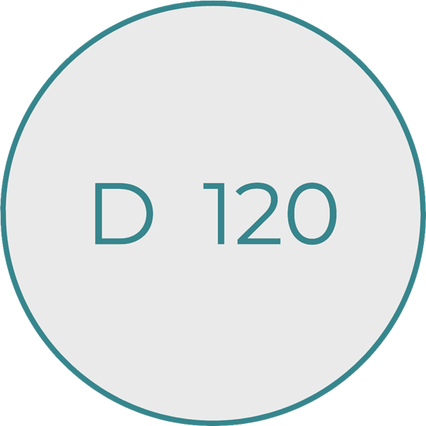 D120_Transition_Logo