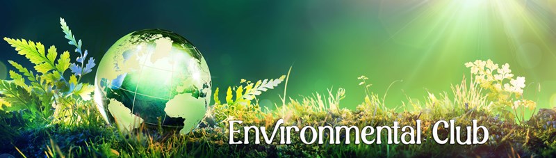 Environmental_Image