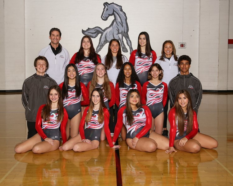 Girls_JV_Gymnastics
