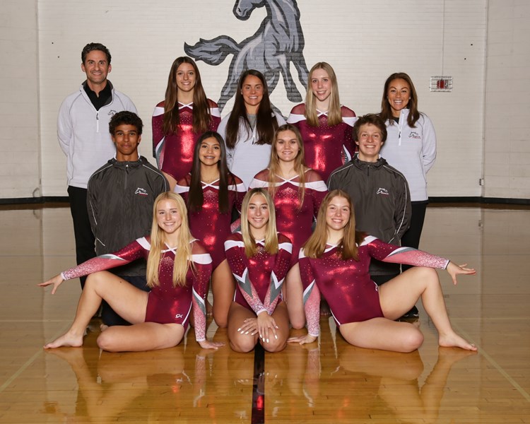 Girls_Varsity_Gymnastics