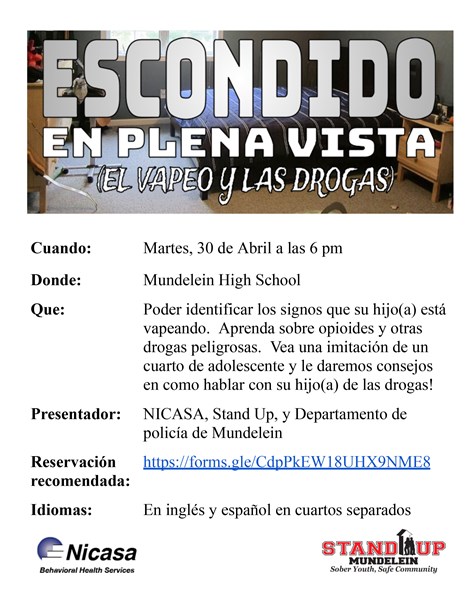 Hidden_In_Plain_Sight_-_Spanish