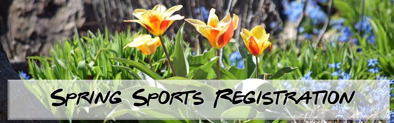 Spring_Sports_Registration