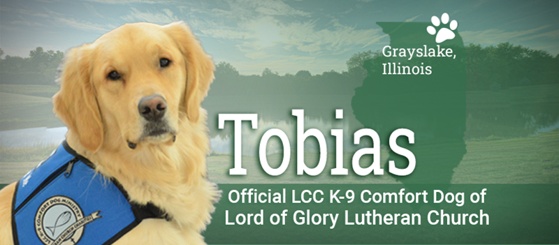 Tobias_the_Therapy_Dog