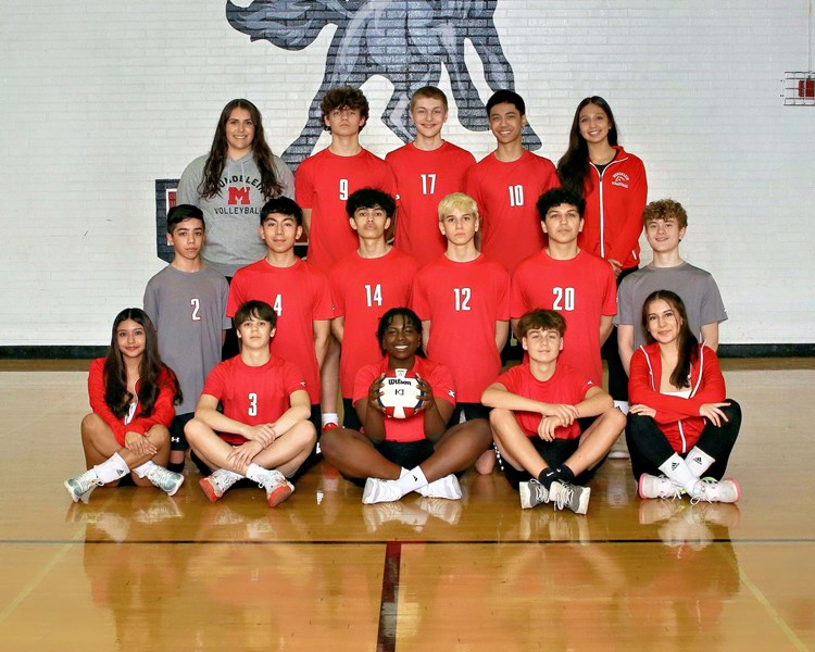 Volleyball_Fr