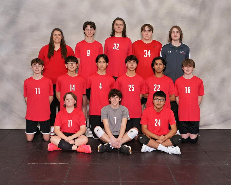 Volleyball_Fr