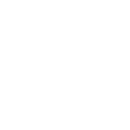 Ticket_Icon_Reversed