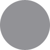 mustang dark gray color sample