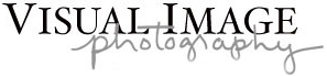 VIP Image Photography logo
